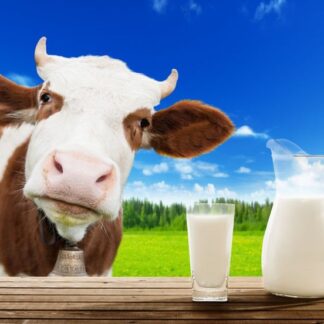 Lait et Crème